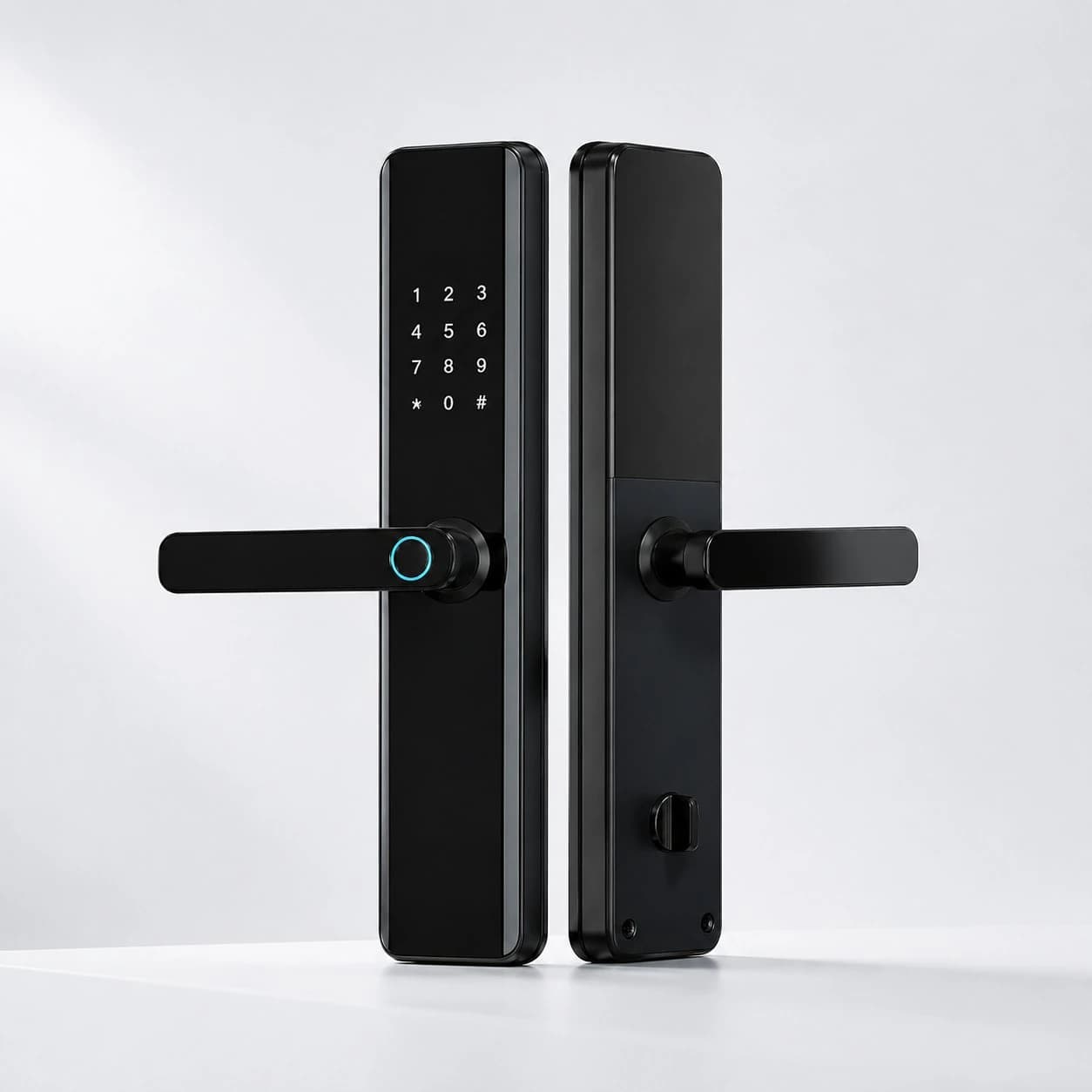 LD1 fingerprint and passcode smart lock