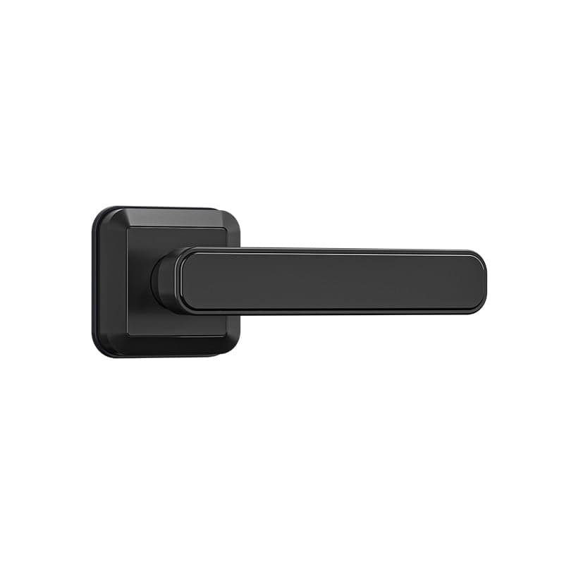 AT-E R2 Smart Deadbolt/Handle Lock – Zinc Alloy, Multi-Access, Black Finish